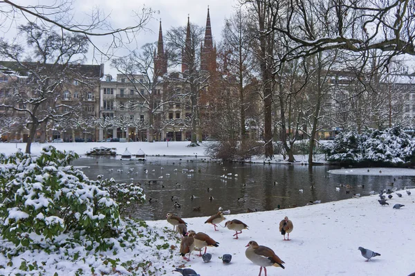 Wiesbaden Snowy Day City View Germany Europe — 스톡 사진