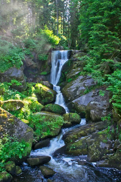 Triberg Cachoeira Alemanha Europa — Fotografia de Stock