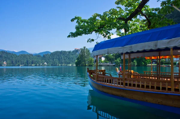 Lake Bled Eslovénia Balcãs Europa — Fotografia de Stock