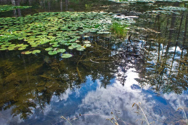 Small Lake Mirroring Natural Landscape Epirus Ioannina Greece — Stock Photo, Image