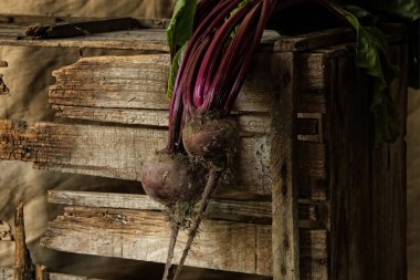 Kırık tahta kutunun üzerinde pancar