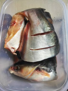 Çiğ Patin veya Plastik kaplarda çiğ yayın balığı parçaları. Seçici Odaklanma.