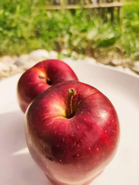 바탕에 사과들이 사과에는 비타민 비타민 비타민 풍부하다 개에는 비타민 포커스가 — 스톡 사진