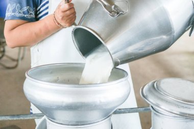 Dönüşüm için süt tankına taze süt döken işçiler.