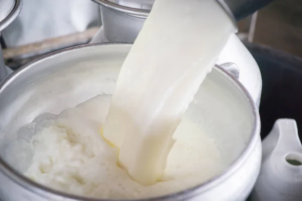Налейте Сырое Молоко Ведро — стоковое фото