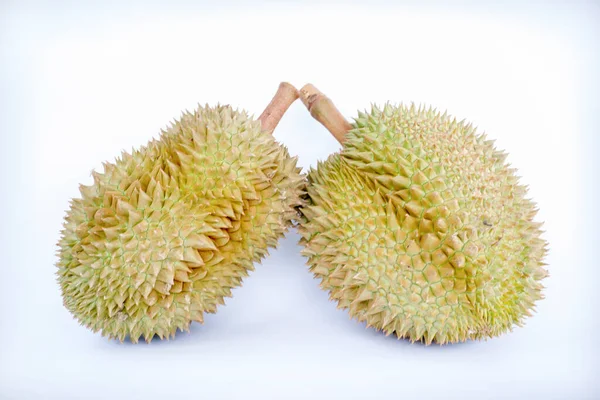 Durian Bílém Pozadí — Stock fotografie