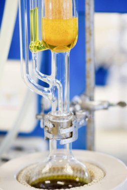 Soxhlet Üretici. Percolator-kazan ve reflü, ısıtma elementi üzerine damıtma şişesi. Organik kimya dersleri. Eczane çıkarımı.