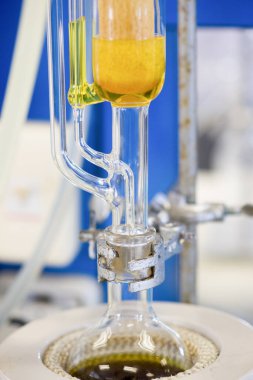 Soxhlet Üretici. Percolator-kazan ve reflü. Isıtma elementi üzerine damıtma şişesi. Organik kimya dersleri. Eczane çıkarma.