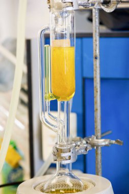 Soxhlet Üretici. Percolator-kazan ve reflü. Isıtma elementi üzerine damıtma şişesi. Organik kimya dersleri. Eczane çıkarma.