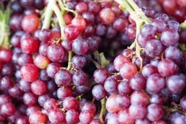 Kırmızı üzüm demetlerinin yakınlaşması