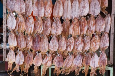 Izgara için kurutulmuş mürekkep balığı..