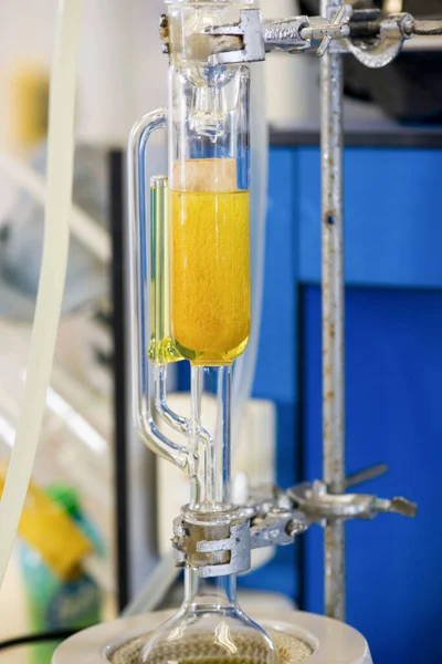 Soxhlet Üretici. Percolator-kazan ve reflü. Isıtma elementi üzerine damıtma şişesi. Organik kimya dersleri. Eczane çıkarma.