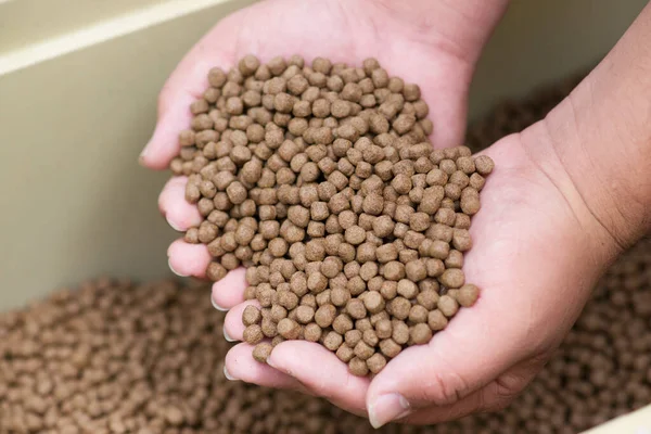 Pellet balık eliyle besleniyor.