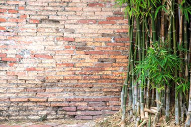 Arka planda eski tuğla duvarlı bambu