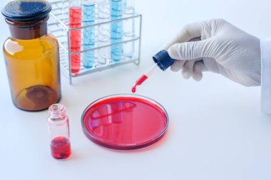 Laboratuvarda kan testinde çalışan bilim adamı. Bilim geçmişi..