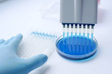 Çok kanallı pipetle çalışan bir bilim adamı. Deneysel labaratuvar. Nitel Araştırma Analizi