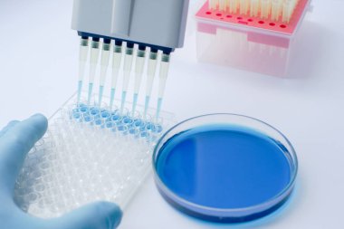 Çok kanallı pipetle çalışan bir bilim adamı. Deneysel labaratuvar. Nitel Araştırma Analizi