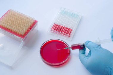 Laboratuvarda kan testinde çalışan bilim adamı. Bilim geçmişi..