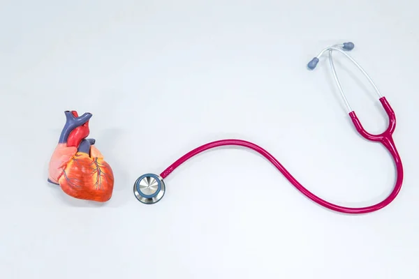 Healthy Concept Human Heart Model Stethoscope — Stock Photo, Image