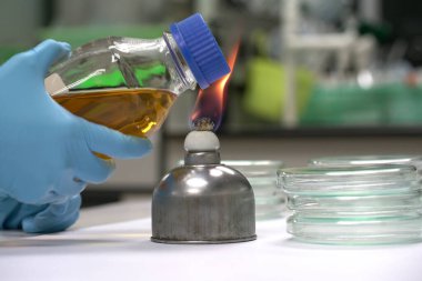 Petri kabının içinde asılı duran Dökme Tabağı metodu