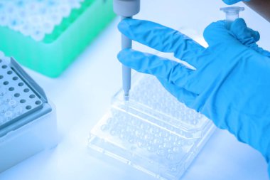 Bilim adamı pipeti, numuneyi test mikro plakasına bırakıyor..