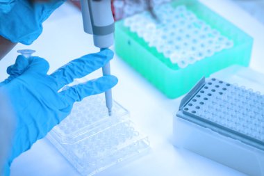 Bilim adamı pipeti, numuneyi test mikro plakasına bırakıyor..