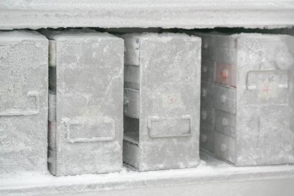 Лабораторна Морозильна Камера Збереження Ізольованого Патогену Ультра Низьких Температурах — стокове фото