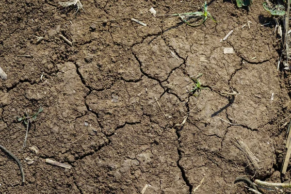 裂纹干固体的结构 质地干燥 土块破碎 — 图库照片