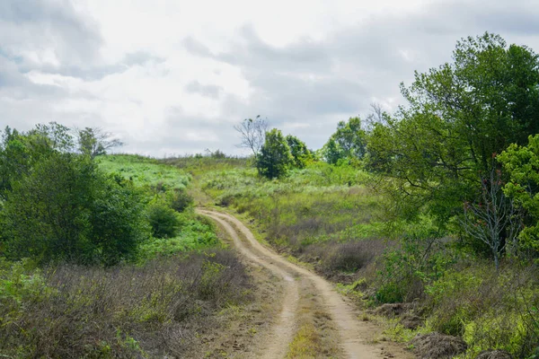 Ormanlarda küçük bir off-road