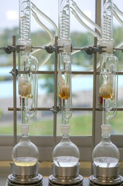 Soxhlet Üretici. Percolator-kazan ve reflü, ısıtma elementi üzerine damıtma şişesi. Organik kimya dersleri. Eczane çıkarımı.