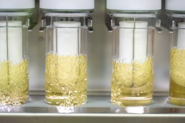 Soxhlet Üretici. Percolator-kazan ve reflü, ısıtma elementi üzerine damıtma şişesi. Organik kimya dersleri. Eczane çıkarımı.