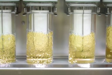 Soxhlet Üretici. Percolator-kazan ve reflü, ısıtma elementi üzerine damıtma şişesi. Organik kimya dersleri. Eczane çıkarımı.