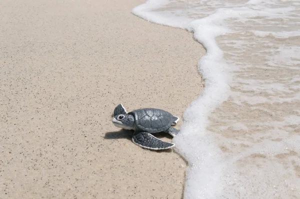 Μικρή Θαλάσσια Χελώνα Στην Αμμώδη Παραλία — Φωτογραφία Αρχείου