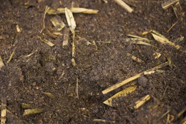 Arkaplan için organik gübre ve toprak dokusu