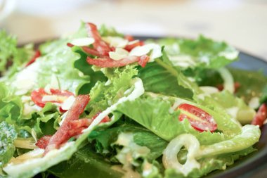 Jambon ve mozzarella peynirli sebze salatası..