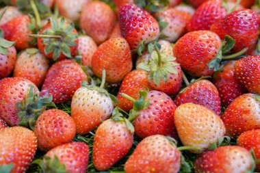 Meyve pazarında biraz taze çilek