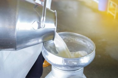 Dönüşüm için konteyner tankına süt döken işçiler.