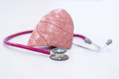 Steteskoplu insan akciğer modeli. Sağlıklı konsept.