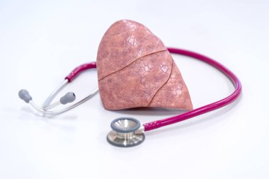 Steteskoplu insan akciğer modeli. Sağlıklı konsept.