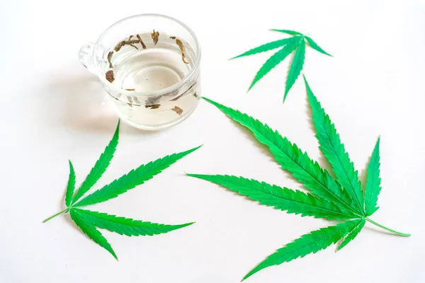 Cannabis Marihuana Con Licencia Cannabis Medicina Alternativa Cannabis Medicinal Aislado —  Fotos de Stock