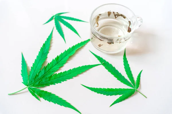Cannabis Μαριχουάνα Τσάι Άδεια Κάνναβης Εναλλακτική Ιατρική Ιατρική Κάνναβη Απομονώνονται — Φωτογραφία Αρχείου