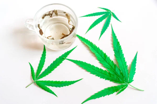 Cannabis Μαριχουάνα Τσάι Άδεια Κάνναβης Εναλλακτική Ιατρική Ιατρική Κάνναβη Απομονώνονται — Φωτογραφία Αρχείου