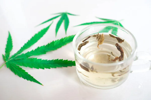 Cannabis Marihuána Tea Kannabisz Szabadság Alternatív Gyógyászat Orvosi Kannabisz Elszigetelt — Stock Fotó
