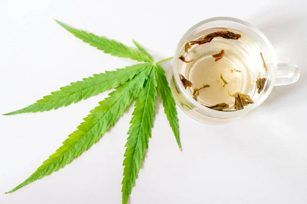Kannabisz Marihuána Tea Kannabiszszabadsággal Alternatív Gyógyászat Orvosi Kannabisz — Stock Fotó