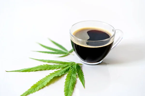 Café Noir Aux Feuilles Cannabis Marijuana Cannabis Médical Médecine Alternative — Photo