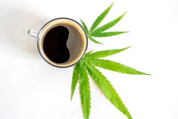 Café Noir Aux Feuilles Cannabis Marijuana Cannabis Médical Médecine Alternative — Photo