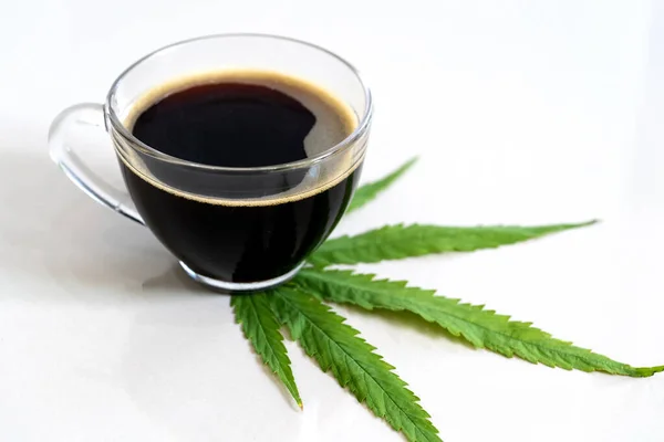 Fekete Kávé Cannabis Marihuána Levelekkel Orvosi Kannabisz Alternatív Gyógyászat — Stock Fotó