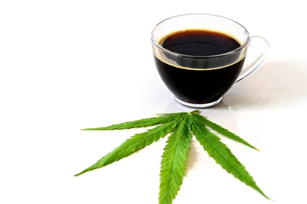 Café Noir Aux Feuilles Cannabis Marijuana Cannabis Médical Médecine Alternative — Photo