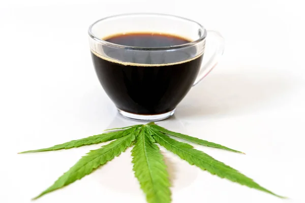 Café Negro Con Hojas Cannabis Marihuana Cannabis Medicinal Medicina Alternativa — Foto de Stock