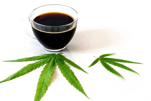 Café Negro Con Hojas Cannabis Marihuana Cannabis Medicinal Medicina Alternativa — Foto de Stock